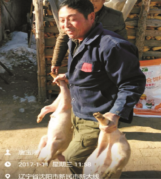 98堂论坛保育料（0101H）的实证案例一