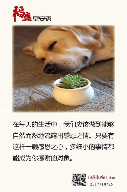主题演讲第七篇--《细节决定成败》